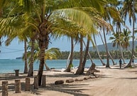 Las Terrenas beach with palm trees
